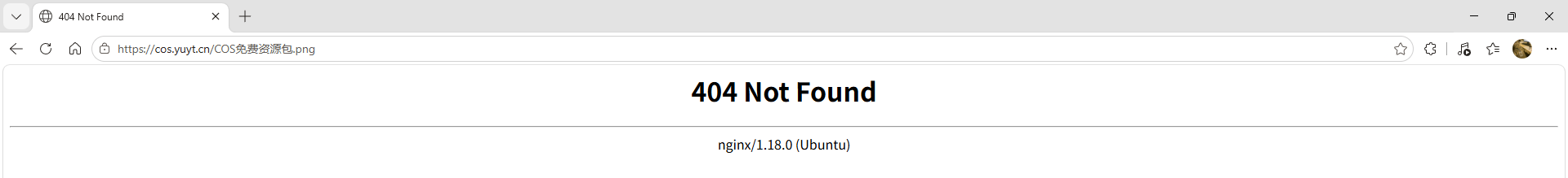 预览404